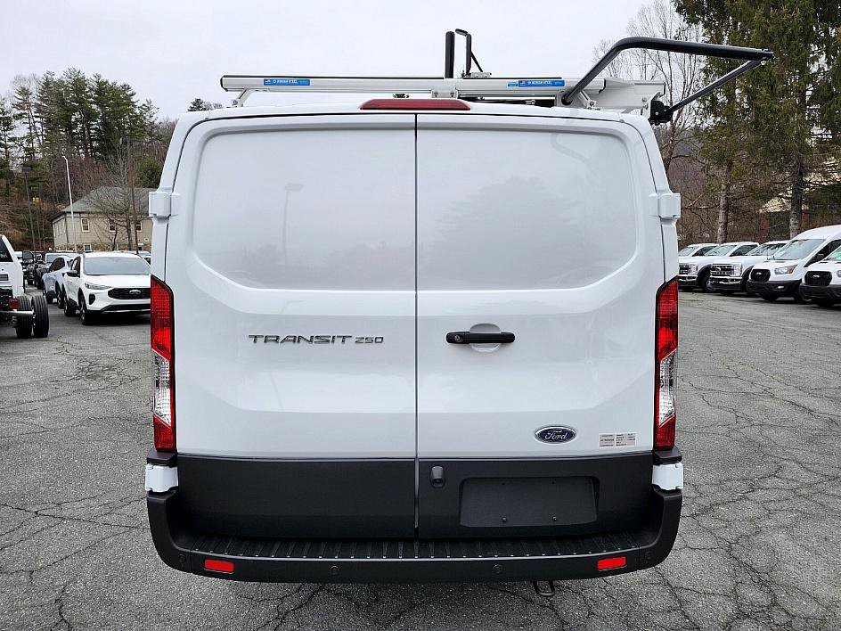 New 2024 Ford Transit 250 Low Roof w/ Load Area Protection Package RWD image 6