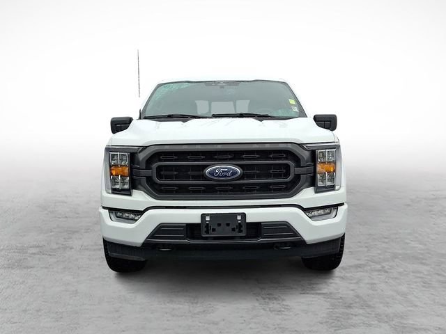 Certified 2023 Ford F150 XLT w/ Equipment Group 302A High image 2