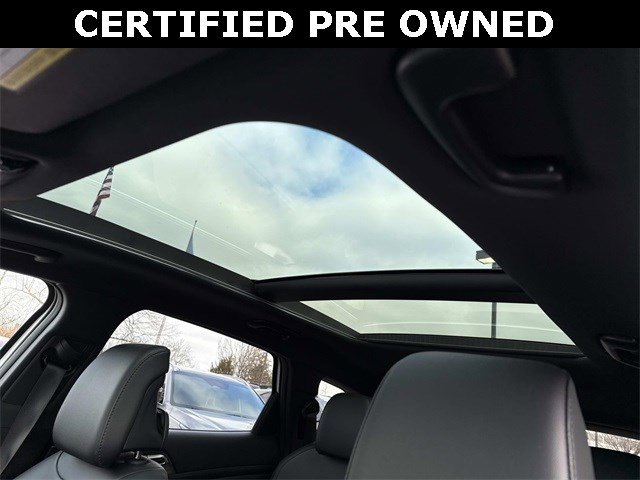 Used 2024 Kia Sportage X-Pro Prestige image 16