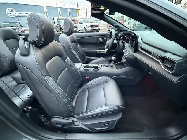 Certified 2025 Ford Mustang Premium image 14