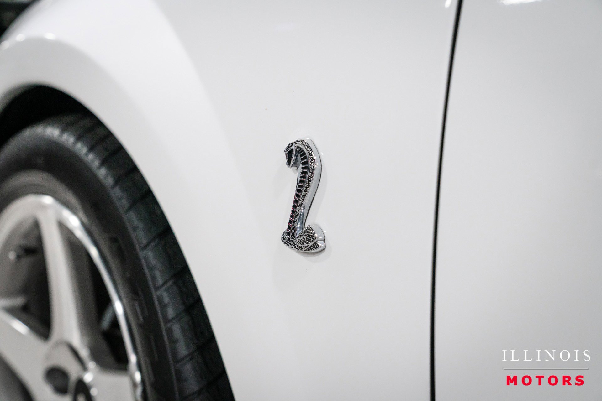 Used 2003 Ford Mustang Cobra image 14