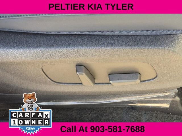 Used 2025 Kia Carnival SX image 17