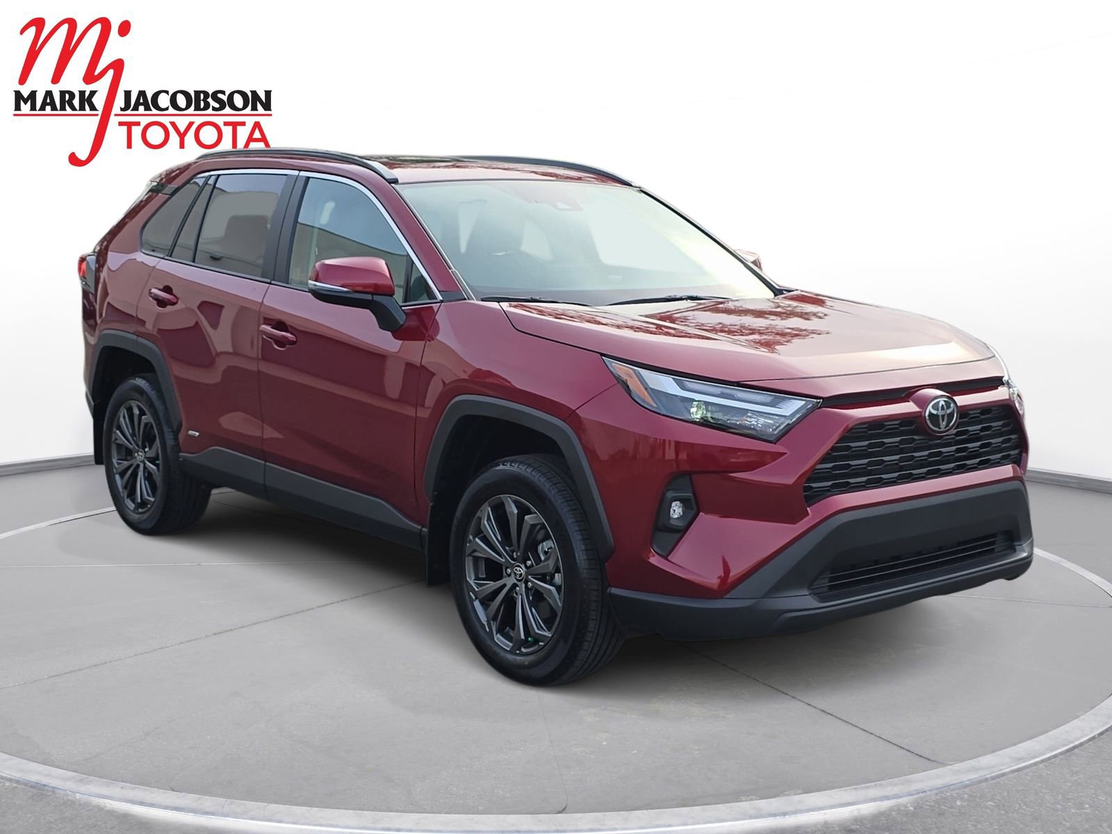 Used 2025 Toyota RAV4 XLE Premium image 5