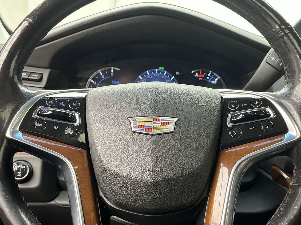 Used 2019 Cadillac Escalade Luxury AWD/4WD image 16