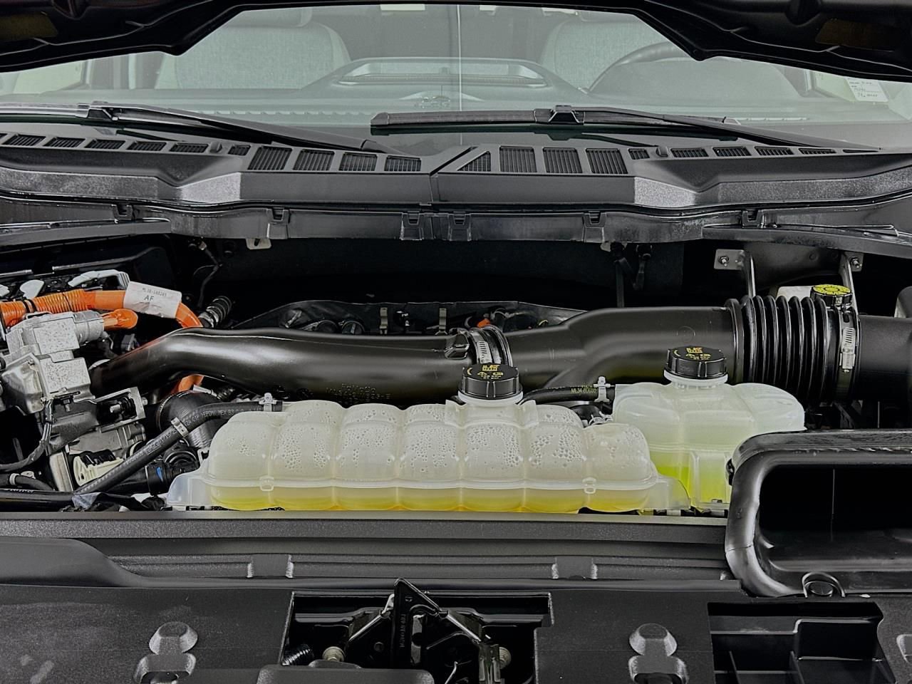 Used 2025 Ford F150 XLT w/ Equipment Group 301A Standard image 44