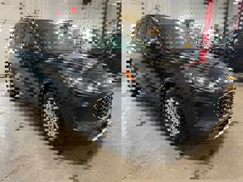 Used 2020 Ford Escape SE image 5