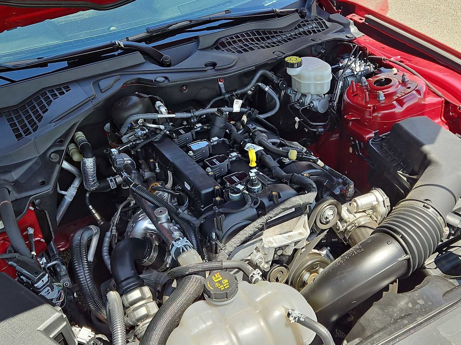 Used 2023 Ford Mustang Coupe w/ Equipment Group 101A RWD image 25
