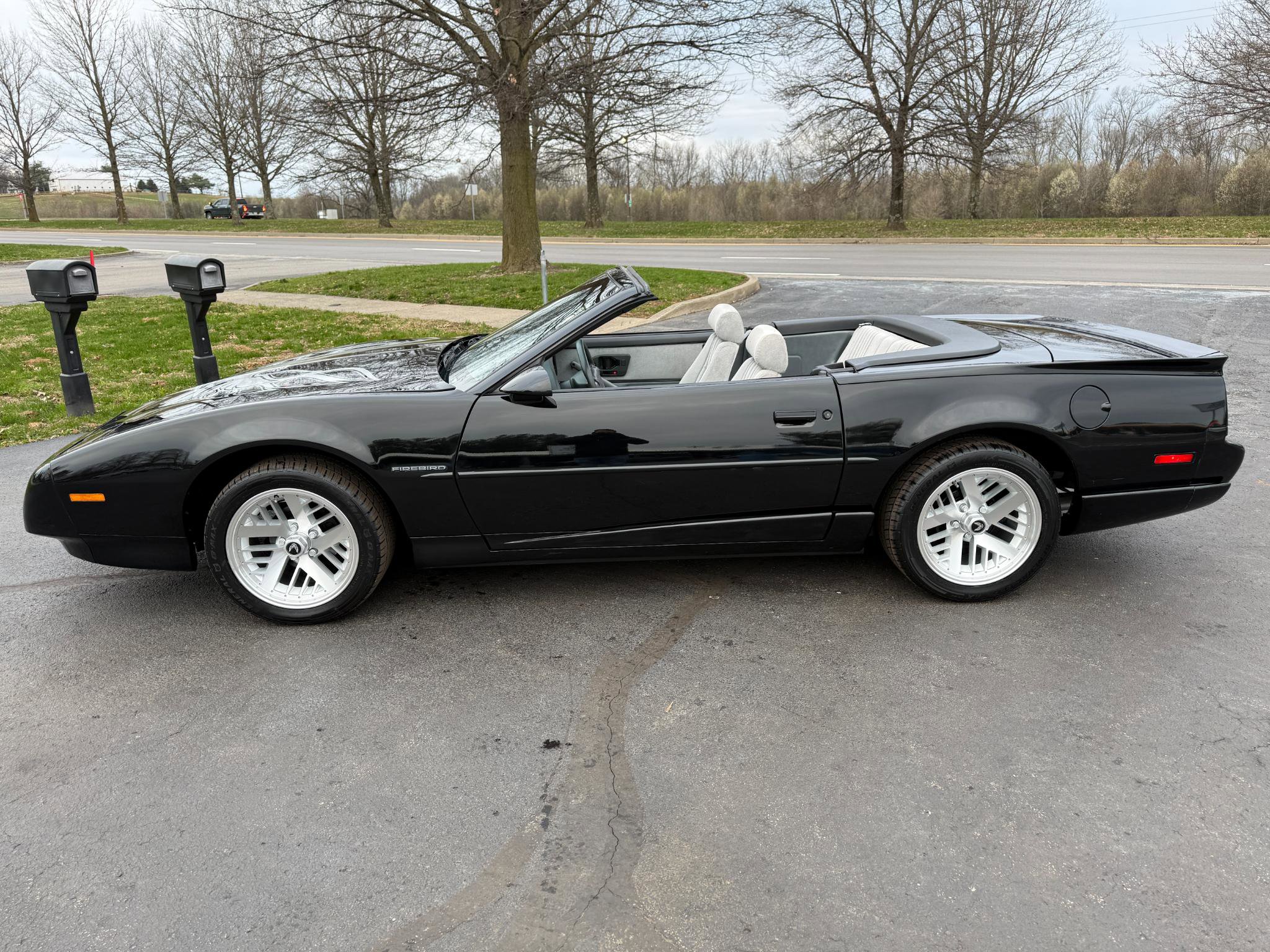 Used 1991 Pontiac Firebird Convertible image 16