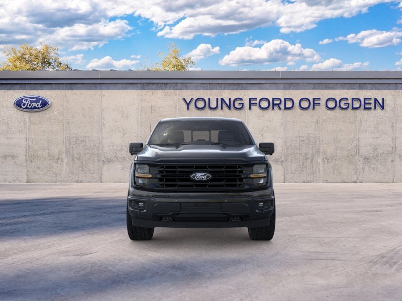 New 2024 Ford F150 XLT w/ Equipment Group 303A High AWD/4WD image 6
