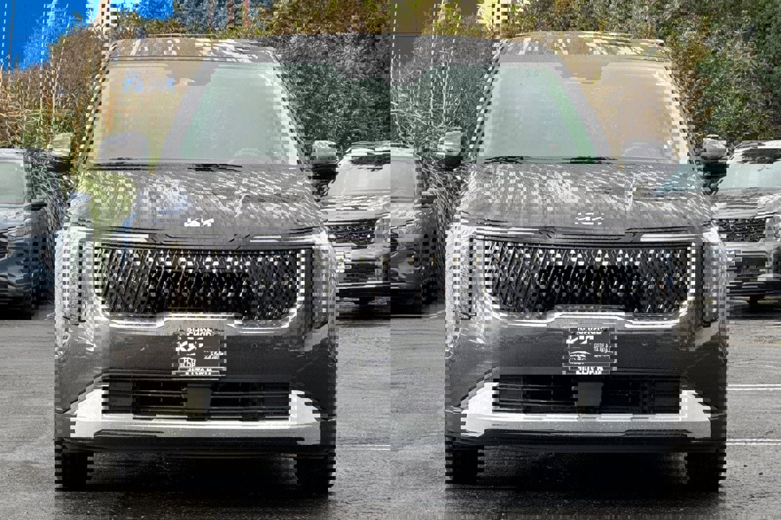 New 2026 Kia Carnival image 9