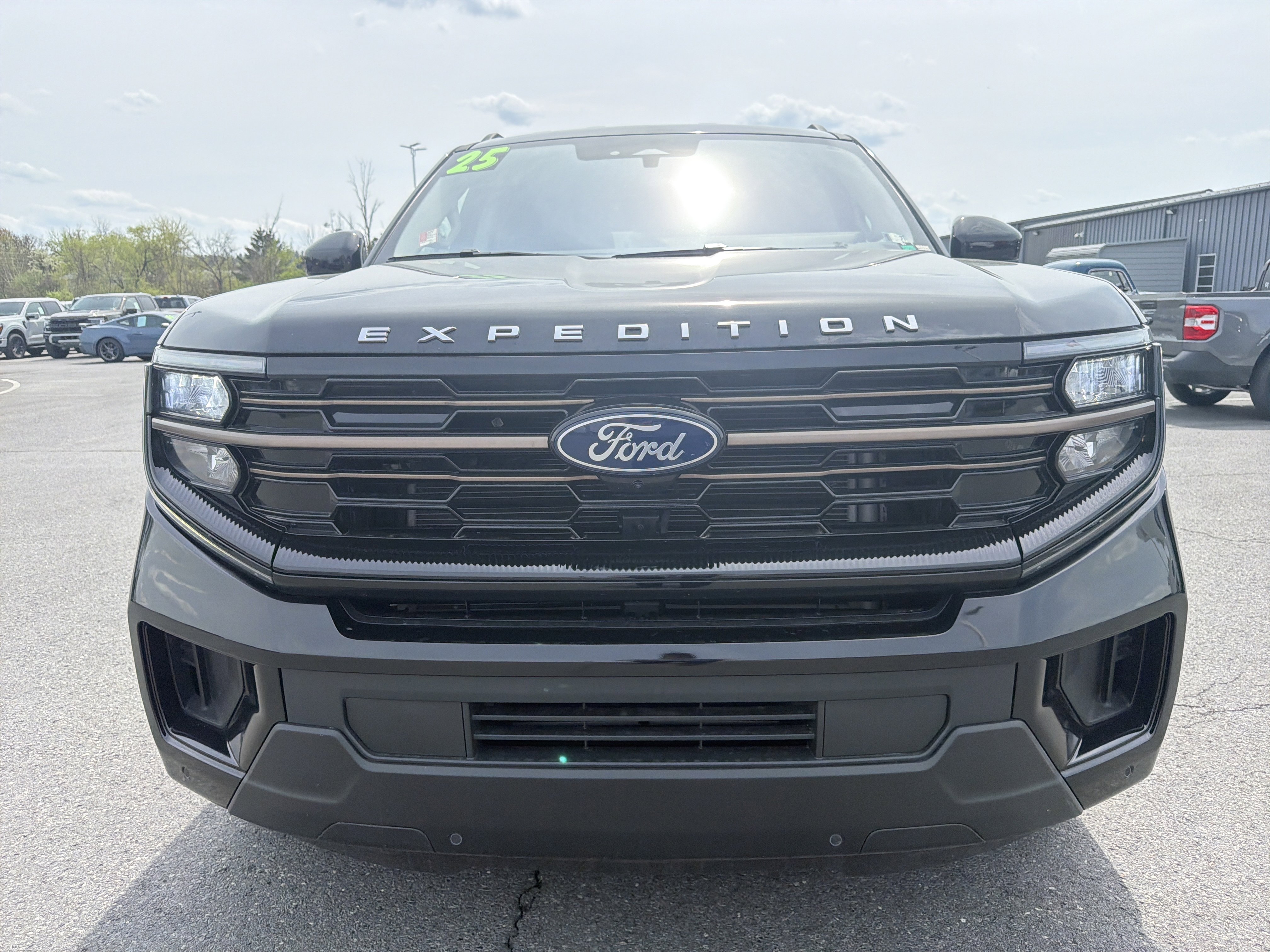 Used 2025 Ford Expedition Active AWD/4WD image 9