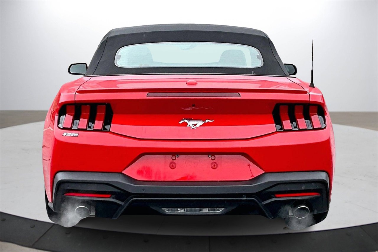 Used 2024 Ford Mustang Premium image 7