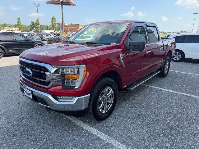 Certified 2022 Ford F150 XLT w/ Equipment Group 302A High AWD/4WD image 4