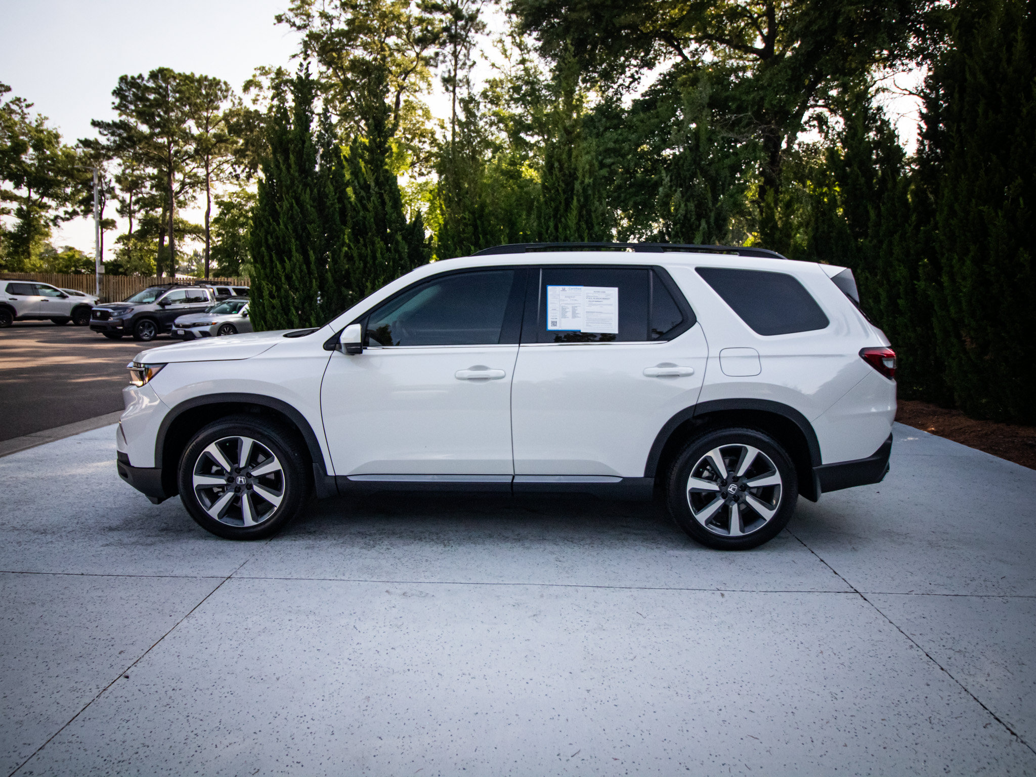 Certified 2025 Honda Pilot Elite image 7