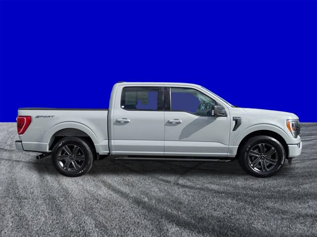 Certified 2023 Ford F150 XLT w/ Equipment Group 302A High RWD image 3