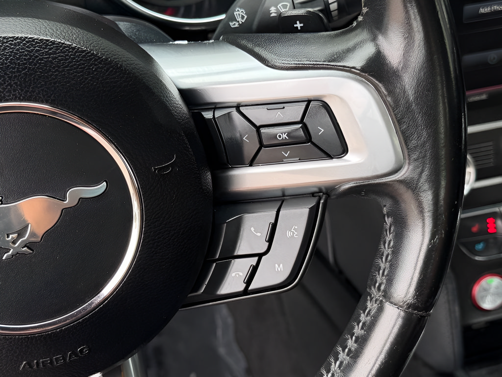 Used 2019 Ford Mustang Premium RWD image 29