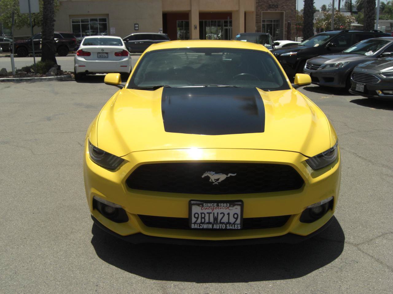 Used 2017 Ford Mustang Coupe w/ Enhanced Security Package RWD image 2