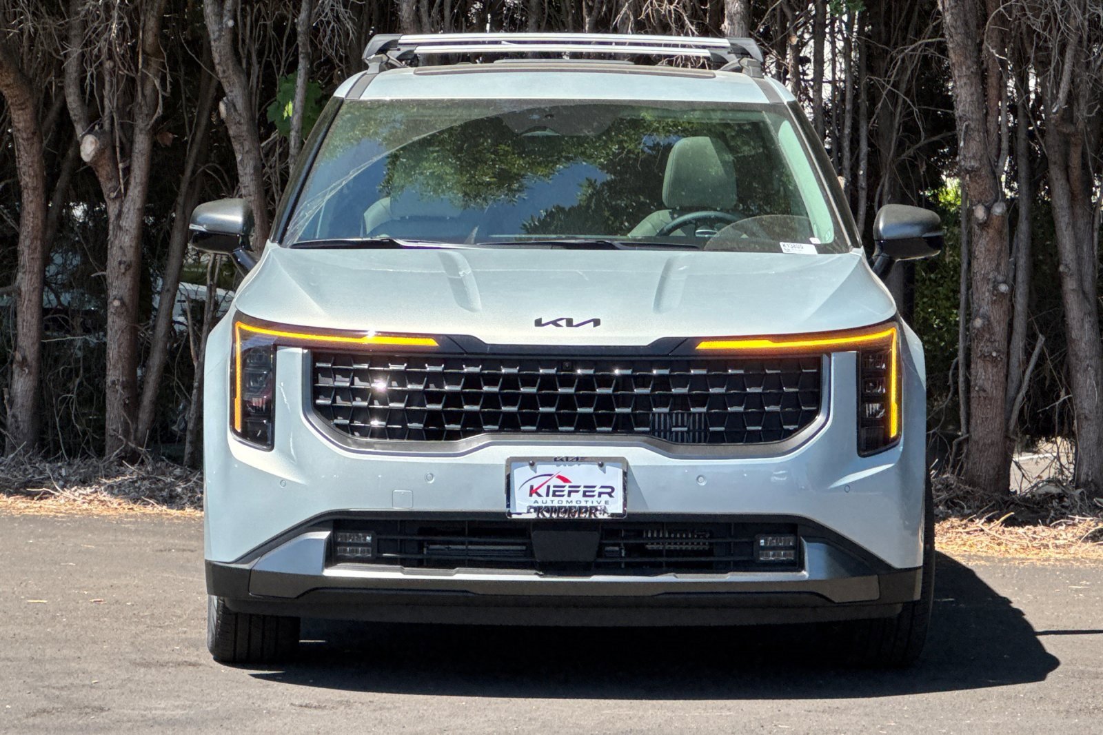 New 2026 Kia Carnival SX w/ SX Dark Edition Package image 5