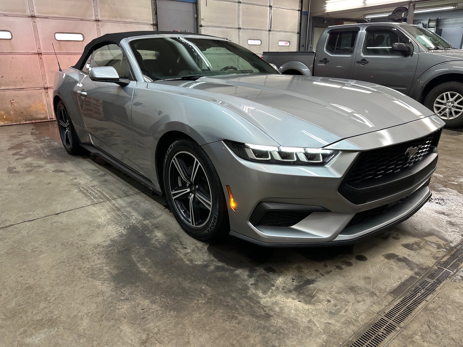 Used 2024 Ford Mustang Premium image 2