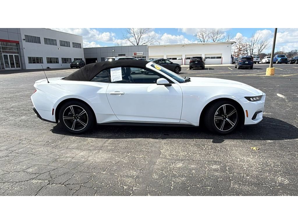 Used 2024 Ford Mustang Premium image 8