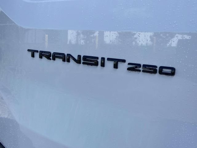 New 2026 Ford Transit 250 148 Medium Roof w/ Load Area Protection Package RWD image 7