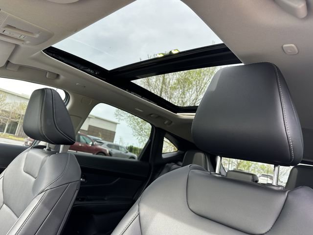 Certified 2025 Nissan Murano SL image 33