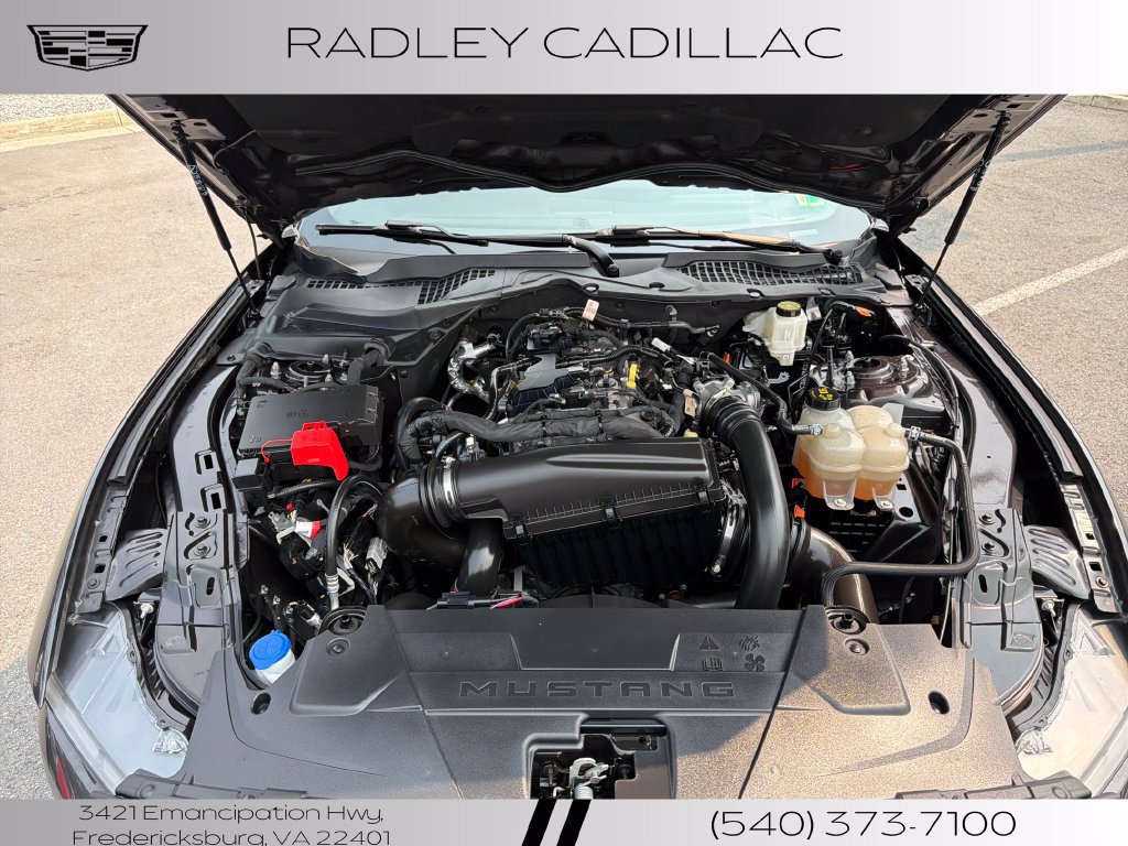 Used 2024 Ford Mustang Premium RWD image 17
