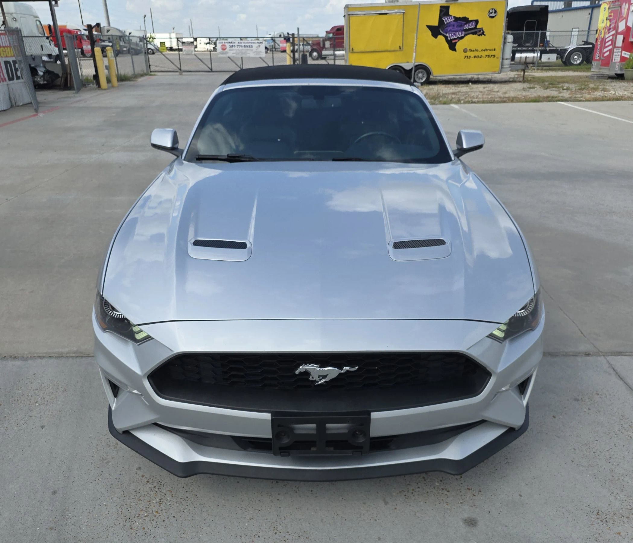 Used 2019 Ford Mustang Premium image 4