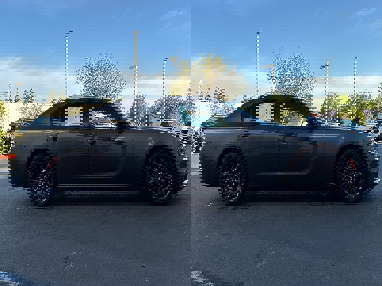 Used 2023 Dodge Charger SXT w/ Blacktop Package image 7