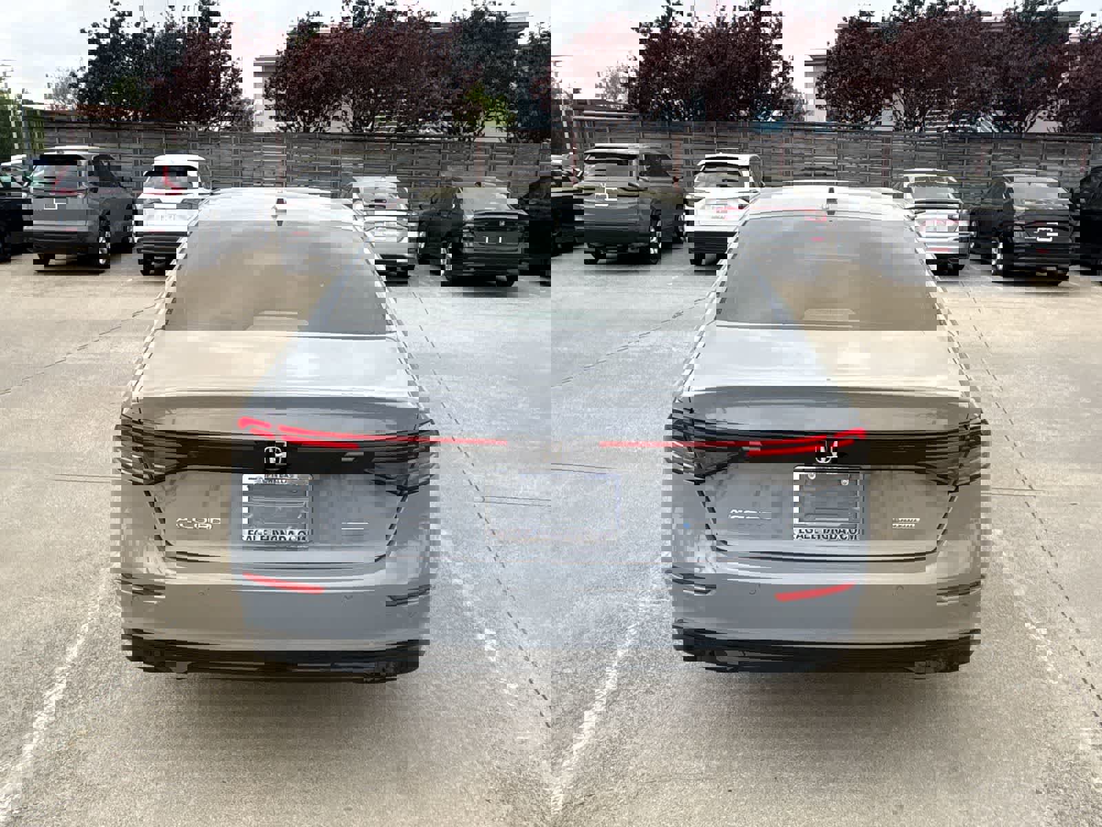 Certified 2025 Honda Accord EX-L image 13