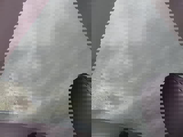 Used 2025 Tesla Model Y Long Range image 7