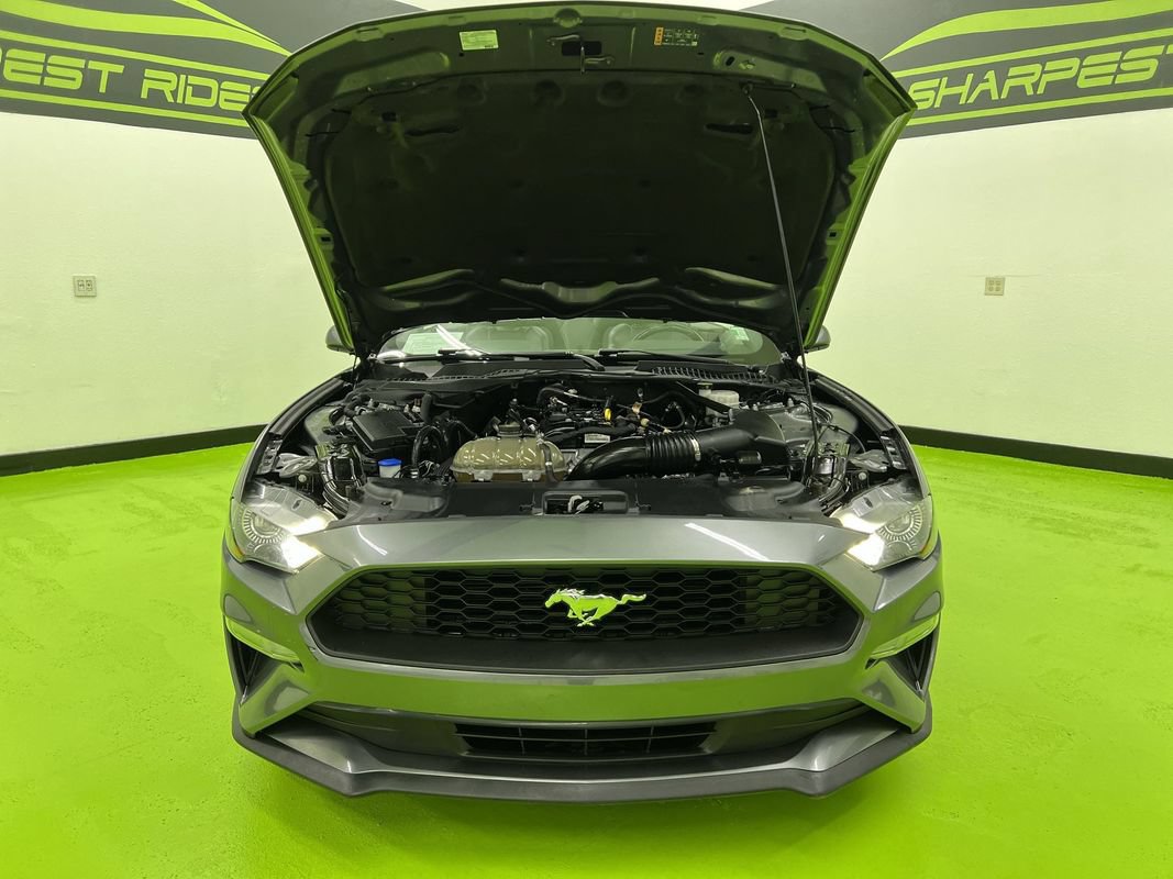 Used 2023 Ford Mustang Premium RWD image 5