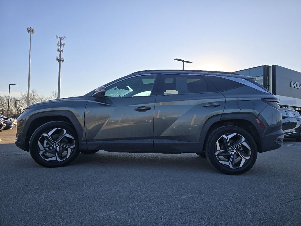 Used 2022 Hyundai Tucson Limited image 14