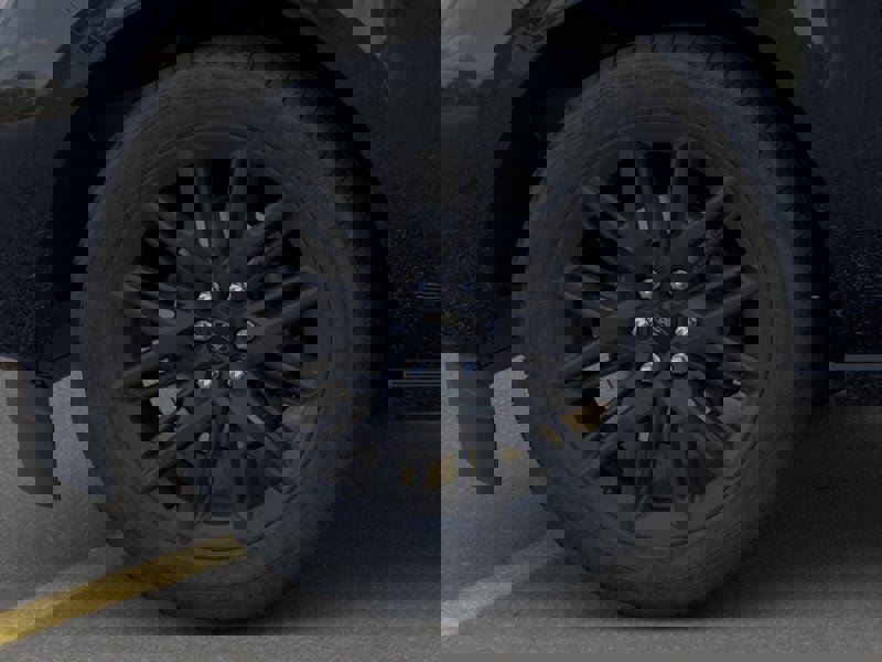 New 2026 Ford Expedition Platinum w/ Stealth Appearance Package image 19