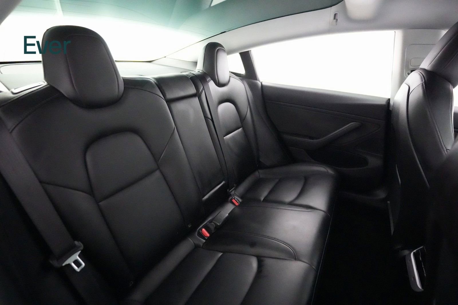 Used 2019 Tesla Model 3 Standard Range Plus image 9