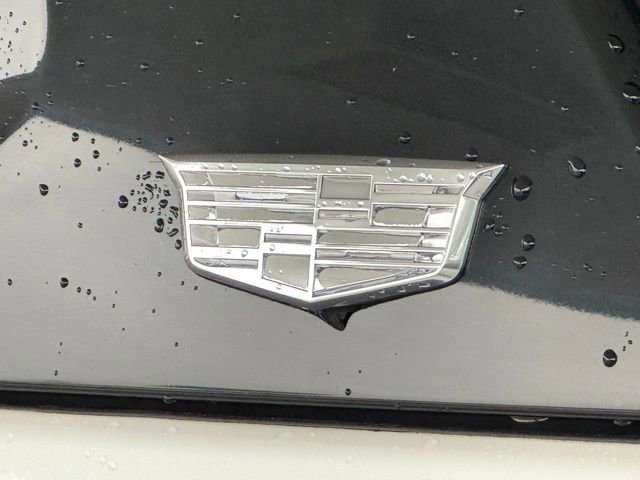 Used 2022 Cadillac Escalade Sport Platinum w/ Heavy-Duty Trailer Package image 6