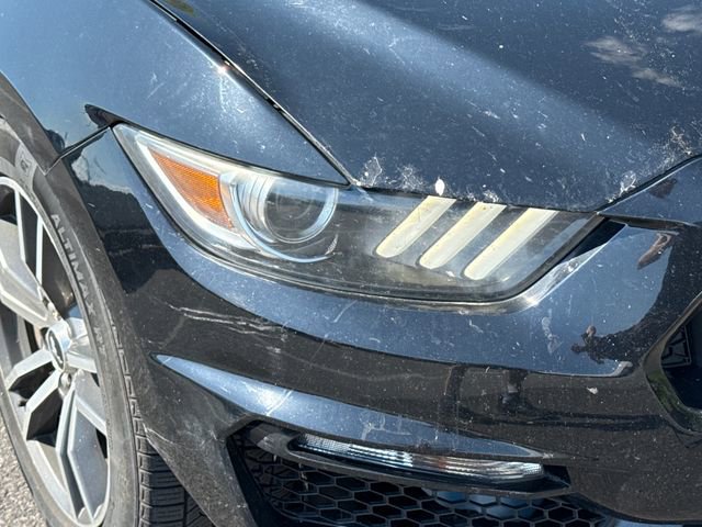 Used 2015 Ford Mustang GT Premium w/ Equipment Group 401A RWD image 12