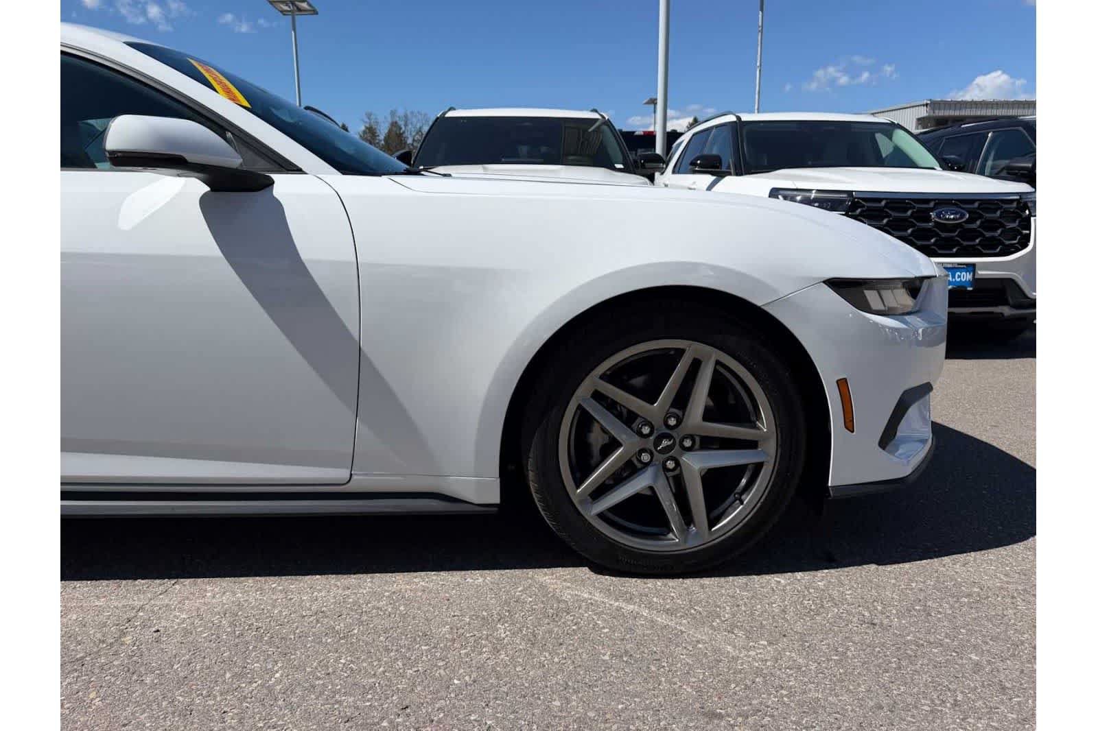 Used 2025 Ford Mustang Premium RWD image 6