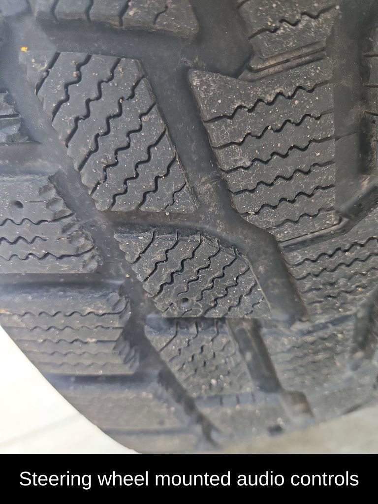 Used 2019 Ford Escape SE image 11