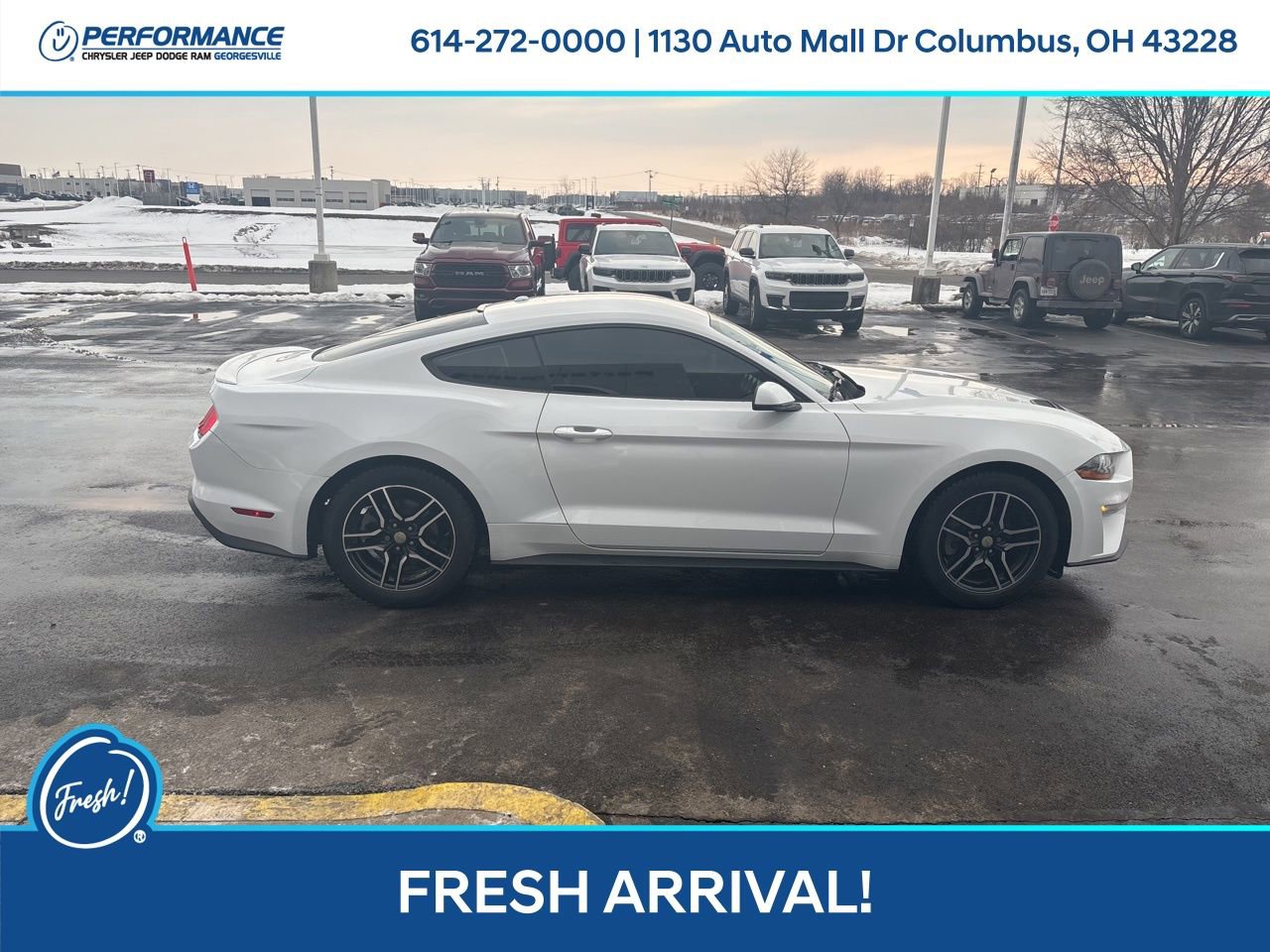 Used 2019 Ford Mustang Premium image 3