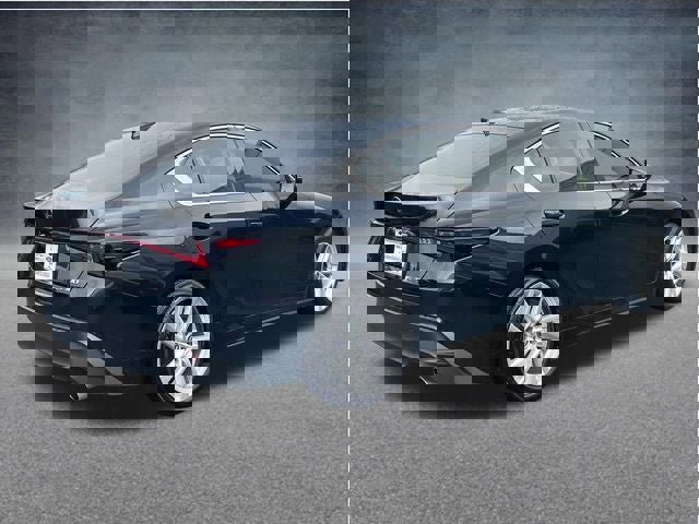 Used 2023 Lexus IS 300 w/ Comfort Package image 3