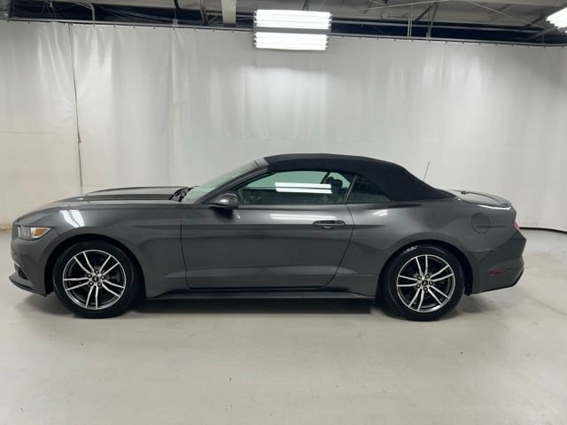 Used 2017 Ford Mustang Premium RWD image 8