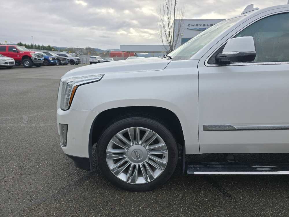 Used 2019 Cadillac Escalade ESV Platinum image 19