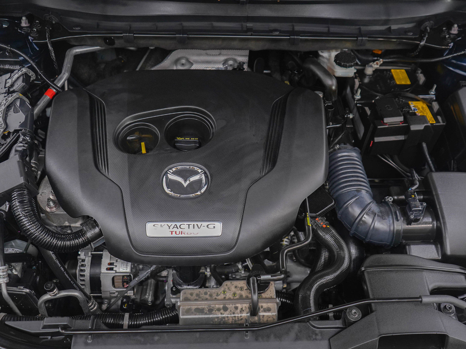 Certified 2025 MAZDA CX-5 Signature image 31