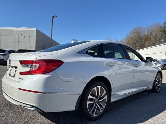 Certified 2022 Honda Accord EX-L image 4