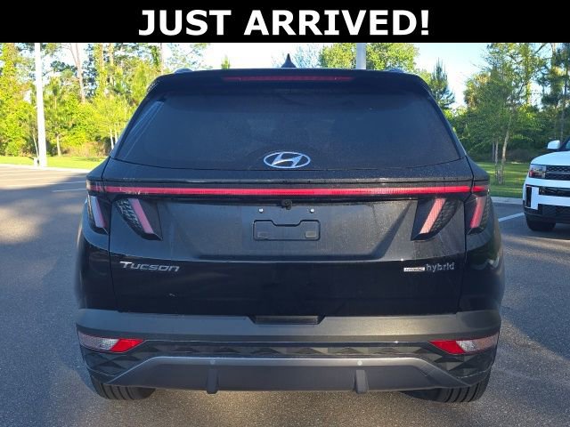 Used 2024 Hyundai Tucson Limited image 4