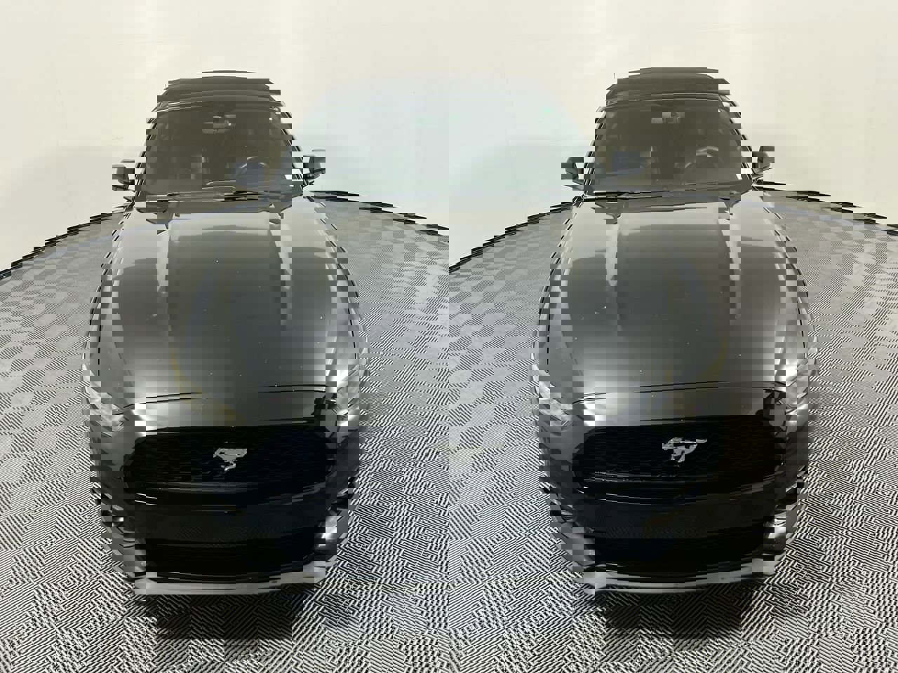 Used 2016 Ford Mustang Premium image 8