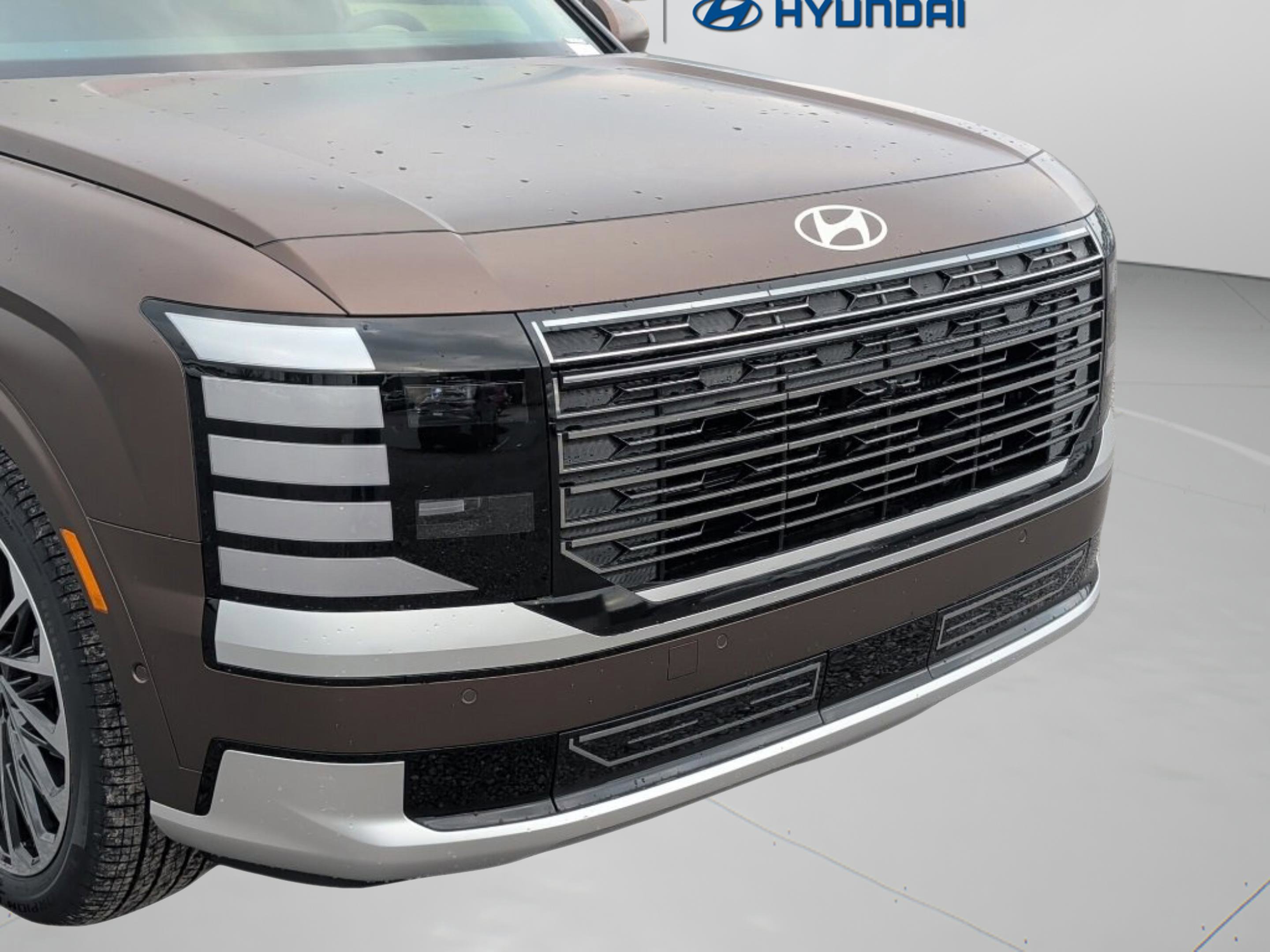 New 2026 Hyundai Palisade Calligraphy image 10