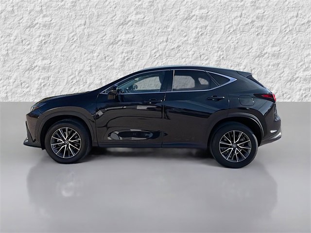 Used 2023 Lexus NX 350 AWD w/ Premium Package image 6