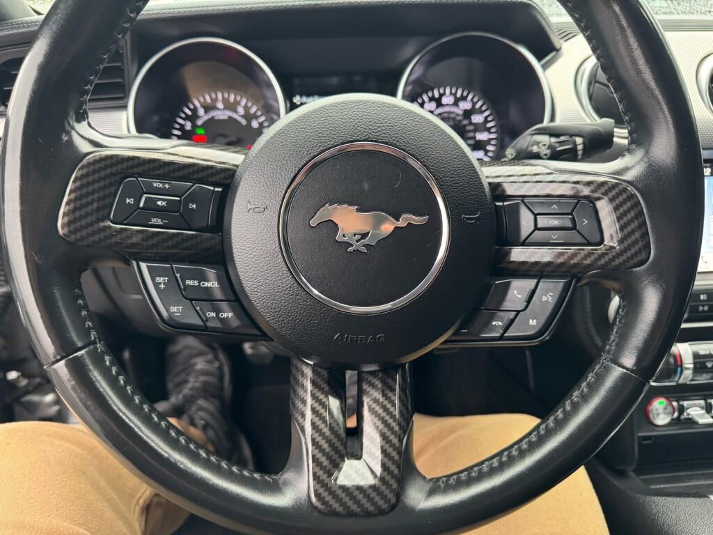 Used 2019 Ford Mustang GT w/ Equipment Group 301A image 19